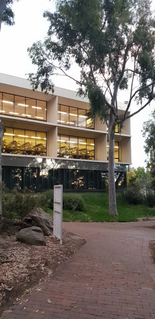 Sturt library