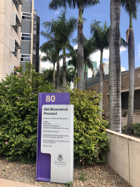 80