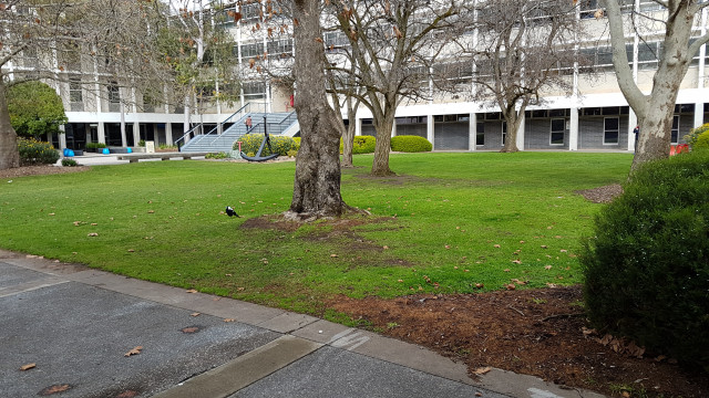 Anchor court from the Biological Sciences building