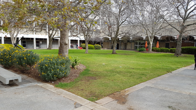 Anchor court from the hub entrance.