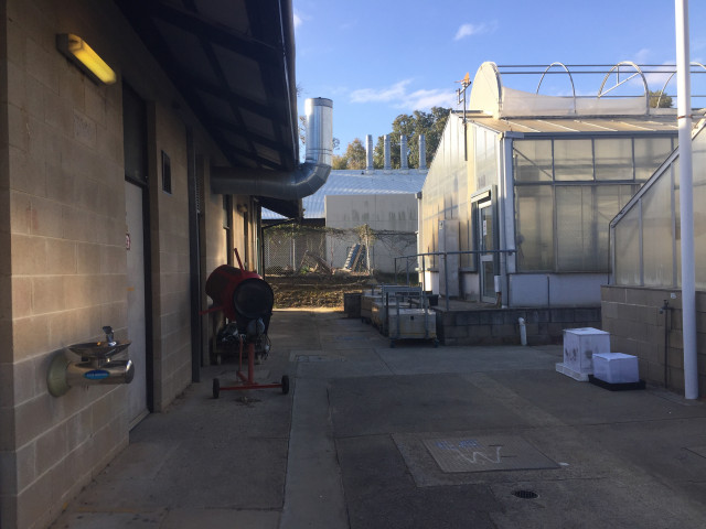 Back of the building