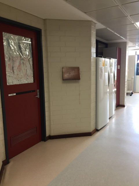 Between the ice machine and freezers
