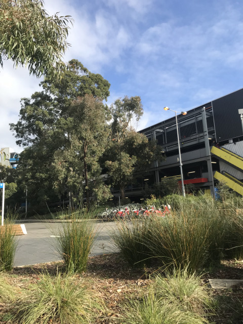 Bike racks located next to N1 carpark, opposite Engineering 72