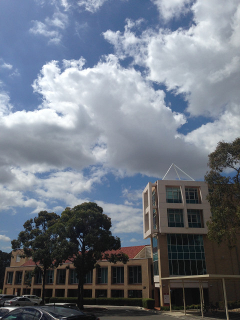 Building 21