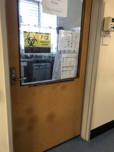 C204