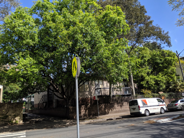 Carillon Avenue Childcare Centre