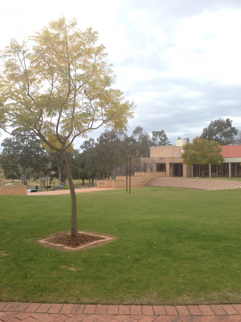 Ceremonial Lawn