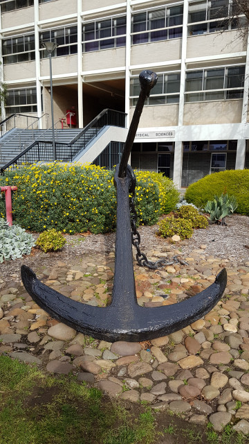Close up shot of the anchor.