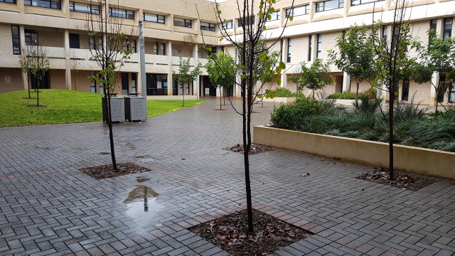 Courtyard from northwest entrance
