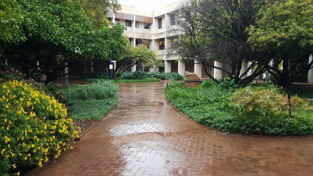 Courtyard looks even better in the rain
