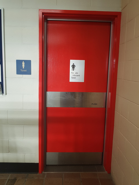 Disabled female toilet