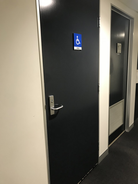Disabled toilet