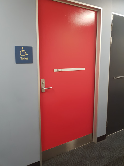 Disabled toilet