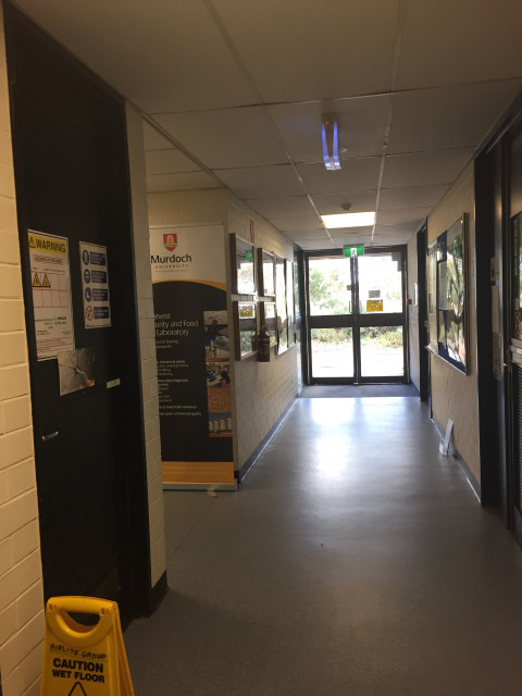 Door on the left