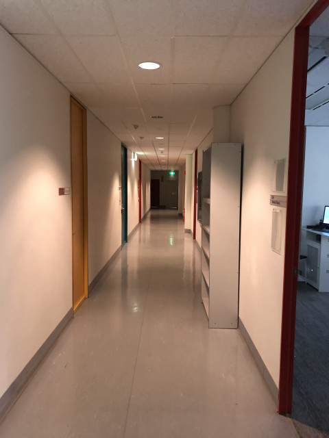Down this corridor
