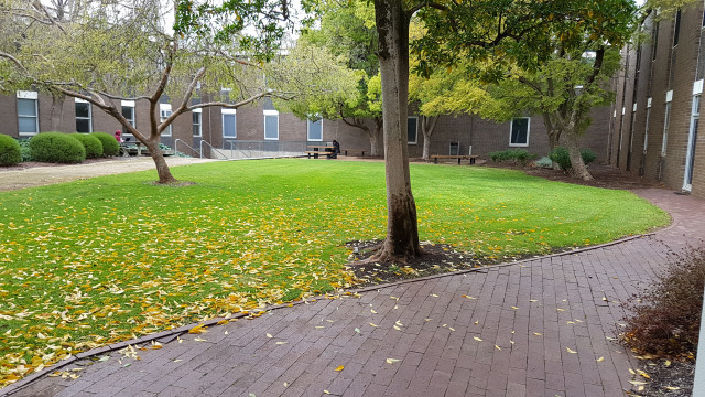 East courtyard