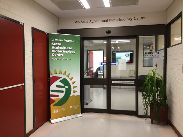 Entrance
