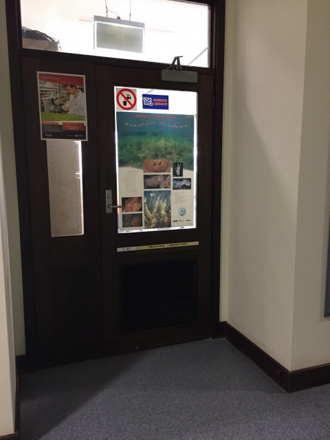 Entrance 2
