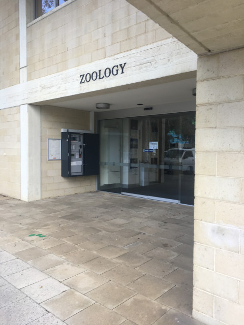 Entrance closest to reception.