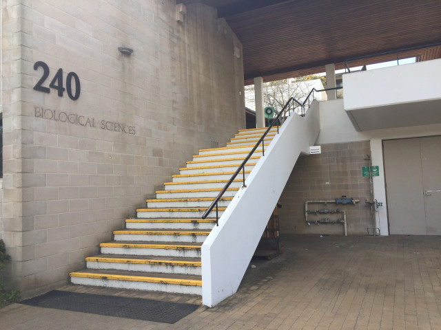 Entrance located under the stairs