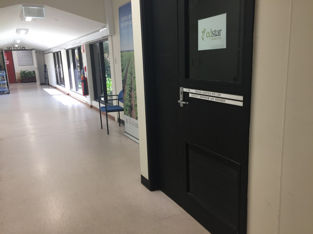 Entrance through south hallway