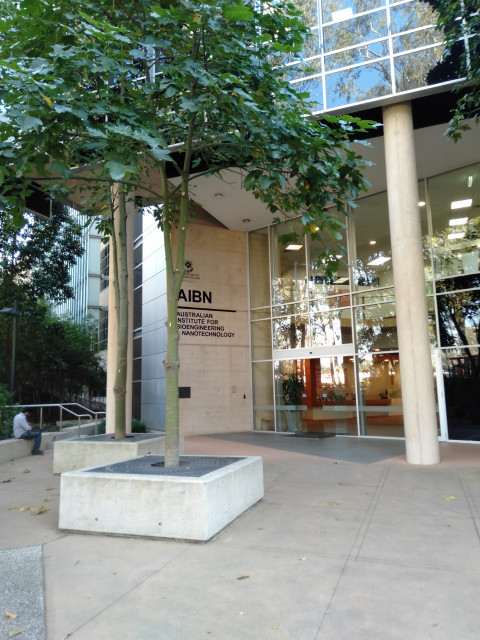 Entrance to reception