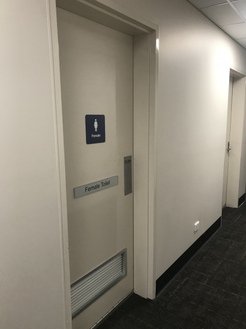 Female toilet entry