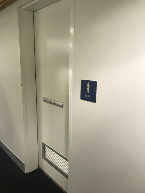 Female toilet entry