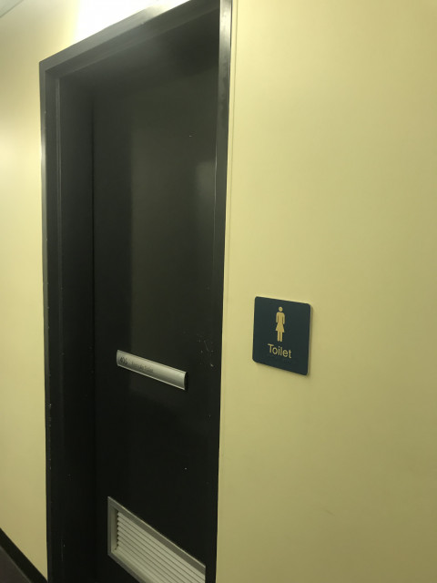 Female toilet entry