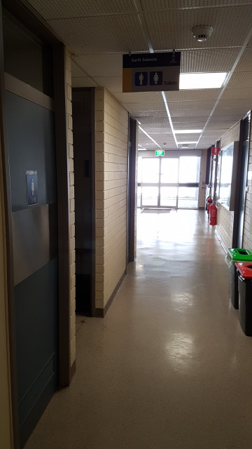 Female toilet with entrance in background.