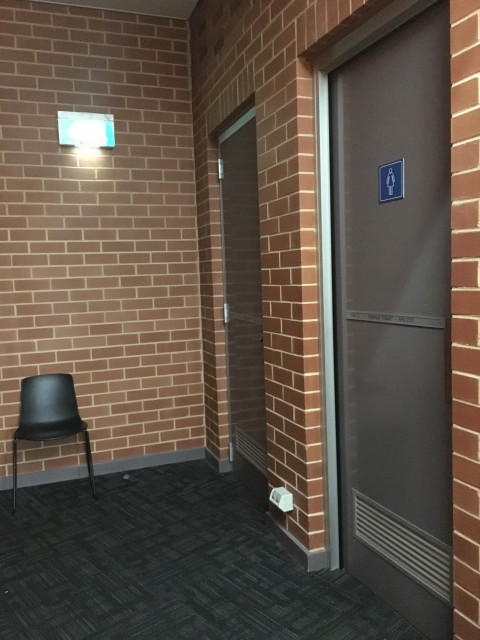 Female toilets