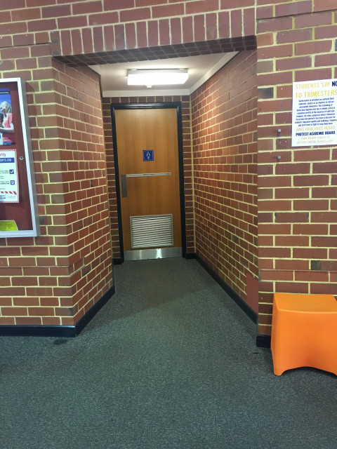 Female toilets
