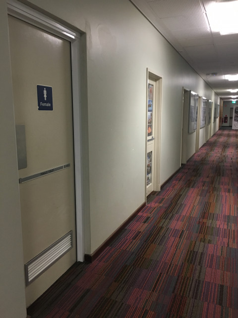 Female toilets