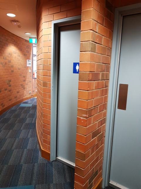 Female toilets