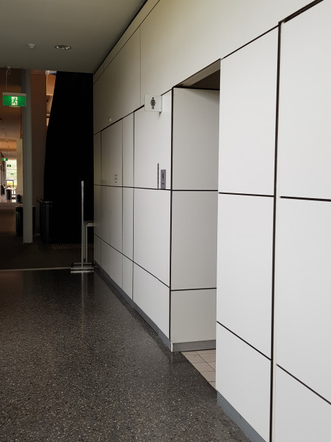 Female toilets