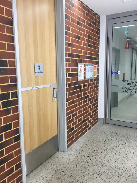 Female toilets
