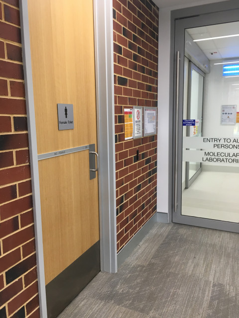 Female toilets