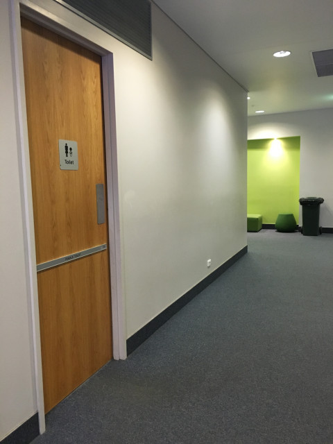 Female toilets