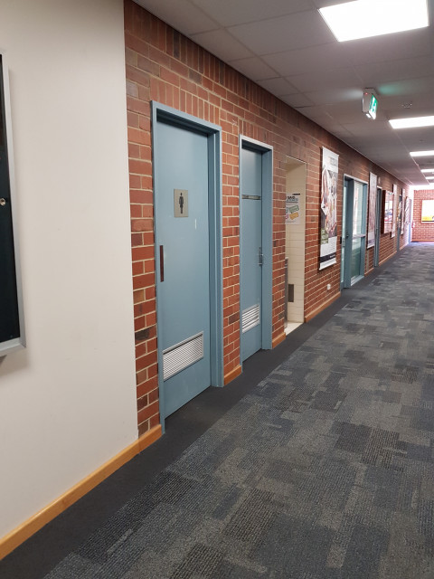 Female toilets