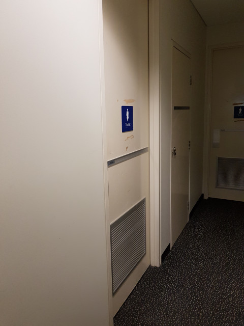 Female toilets