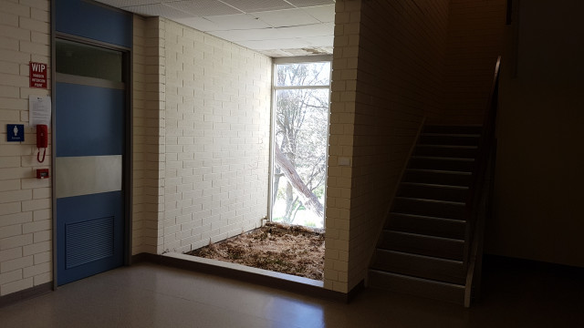 Female toilets beside lecture theatre 103 in the north east corner of the building.