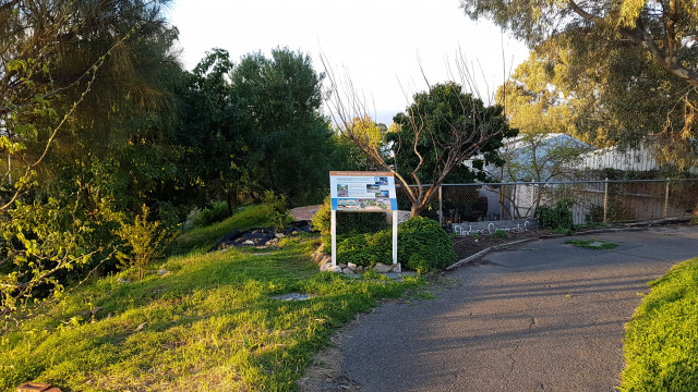 Flinders university community garden.