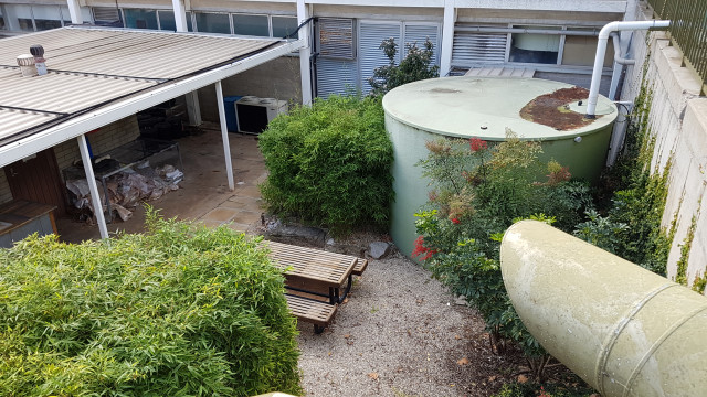 Garden from carpark above.