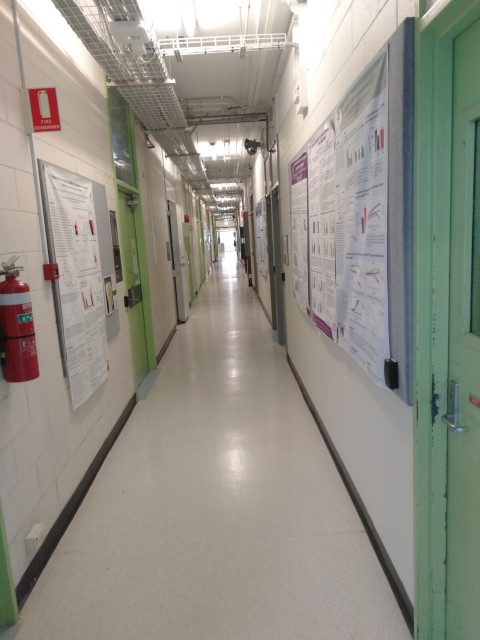 Hallway containing labs
