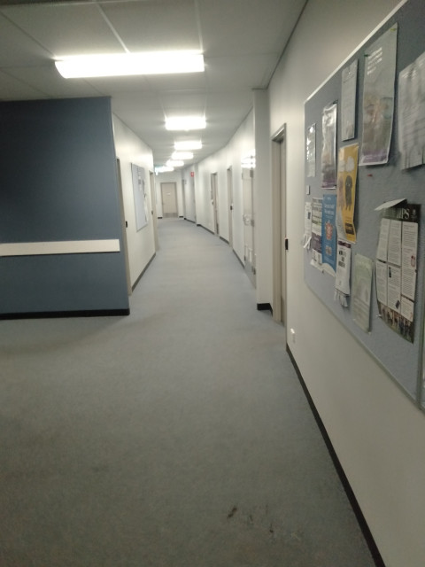 Hallway containing offices