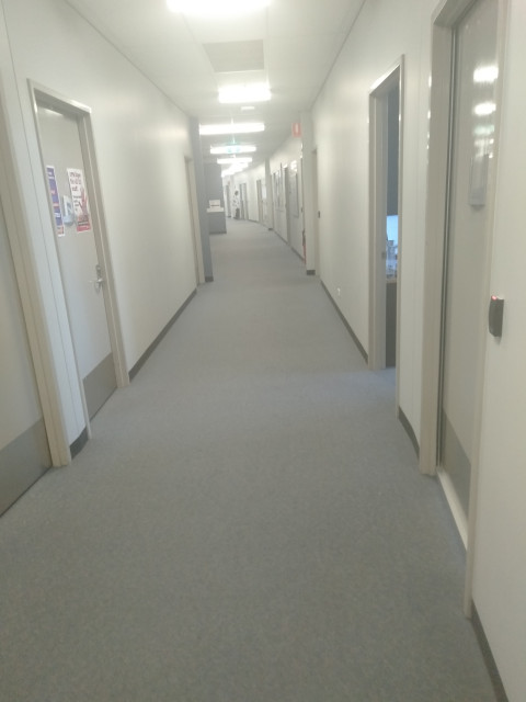 Hallway containing offices
