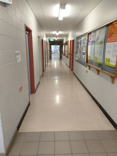 Hallway containing offices
