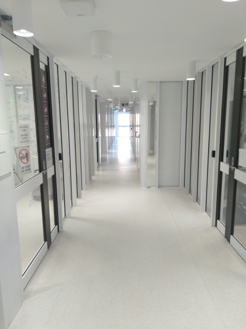 Hallway containing offices