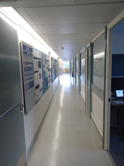 Hallway containing offices