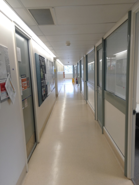 Hallway containing offices